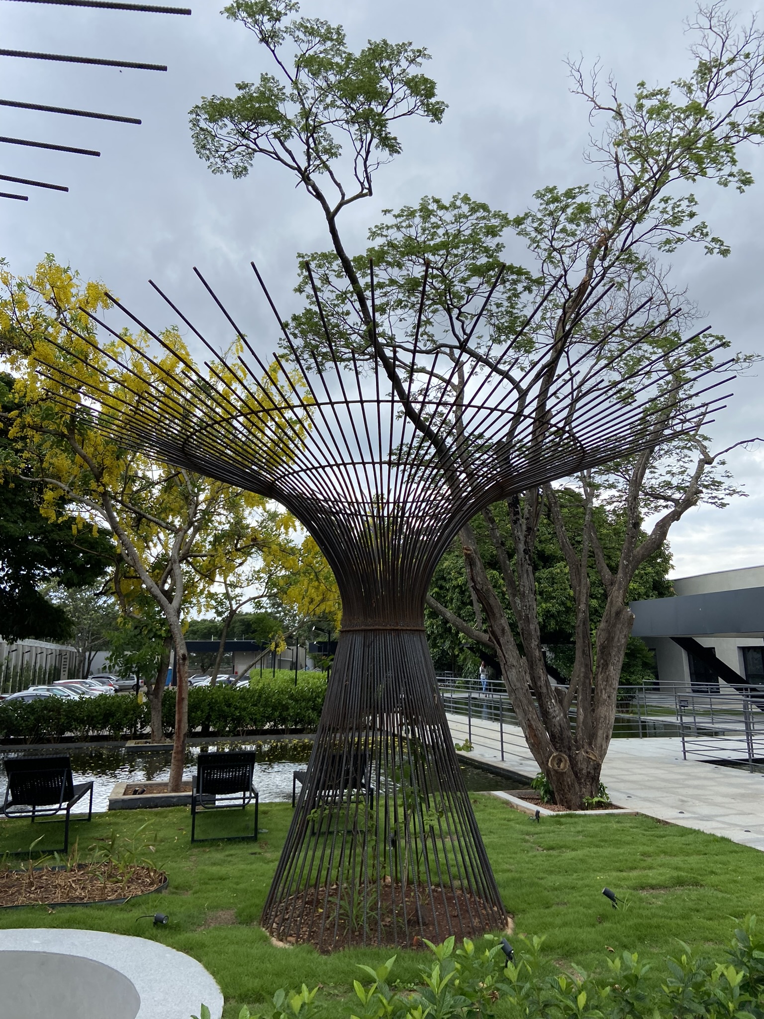 Instituto João Bittar 28