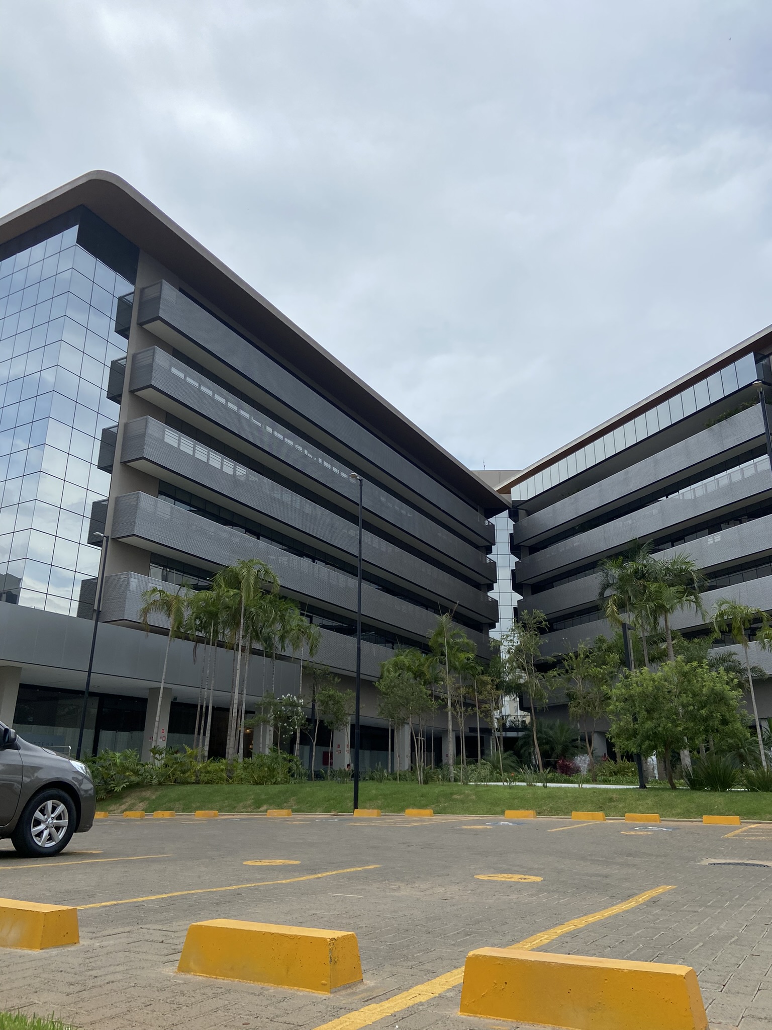 Vinhedos Corporate 1