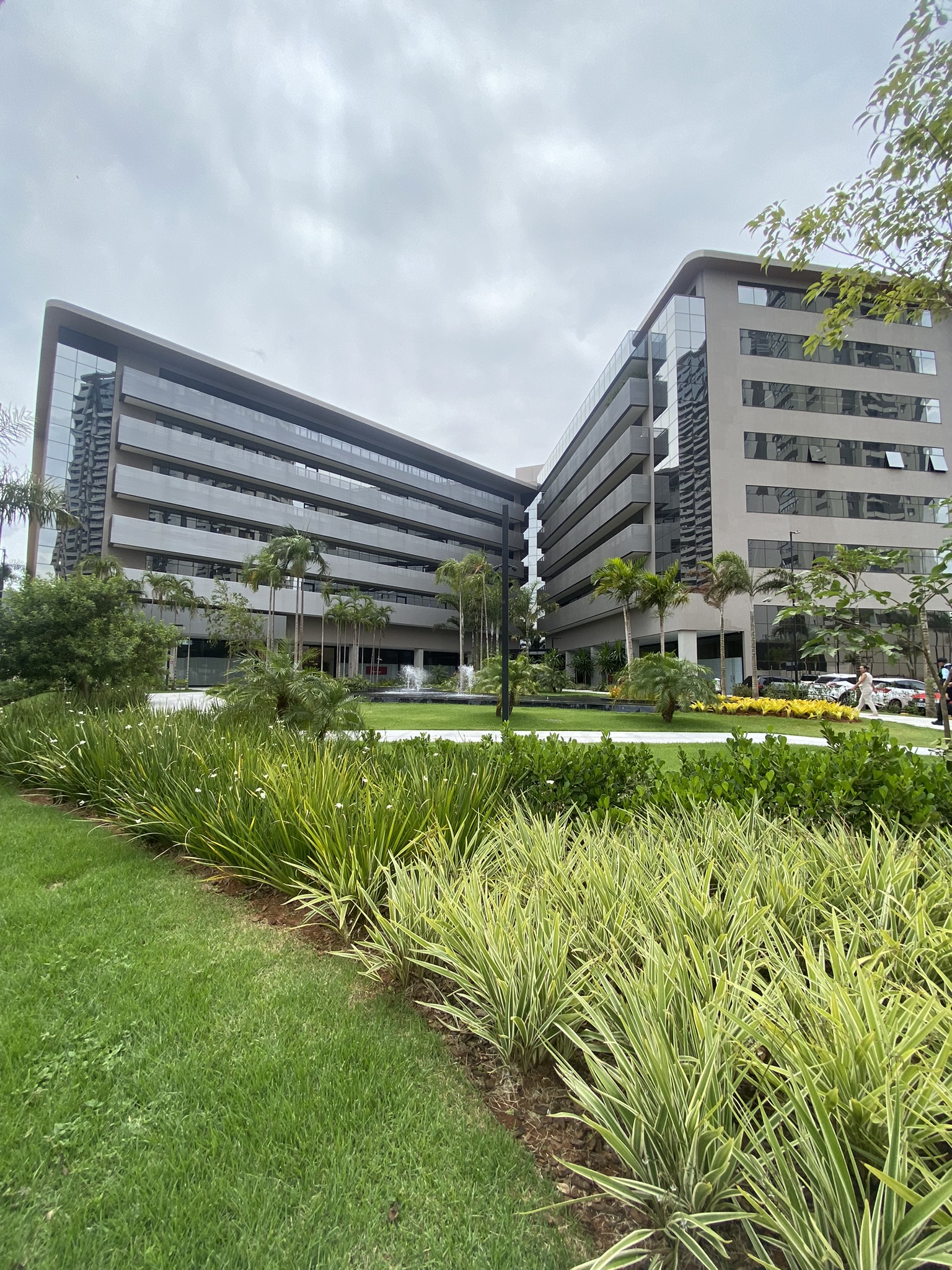 Vinhedos Corporate 2